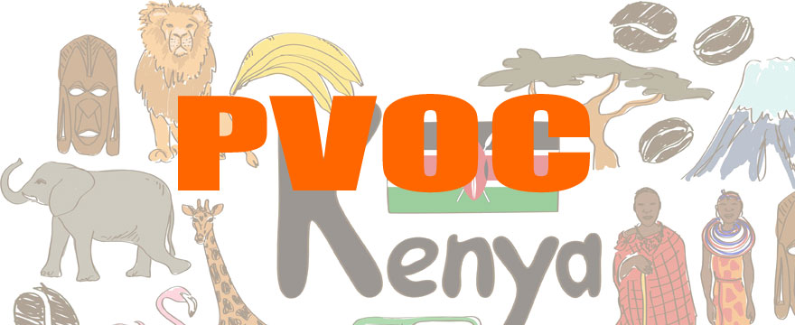 肯尼亞PVOC辦理流程與費用